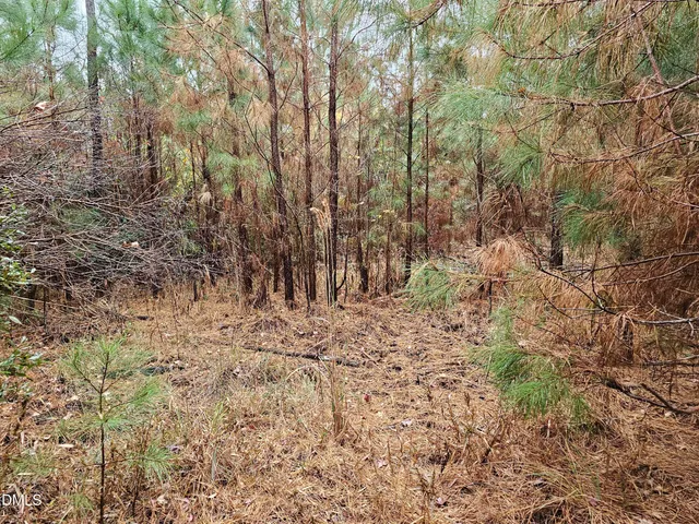 $99,000 | 0 North Nc 304, Merritt, NC 28556