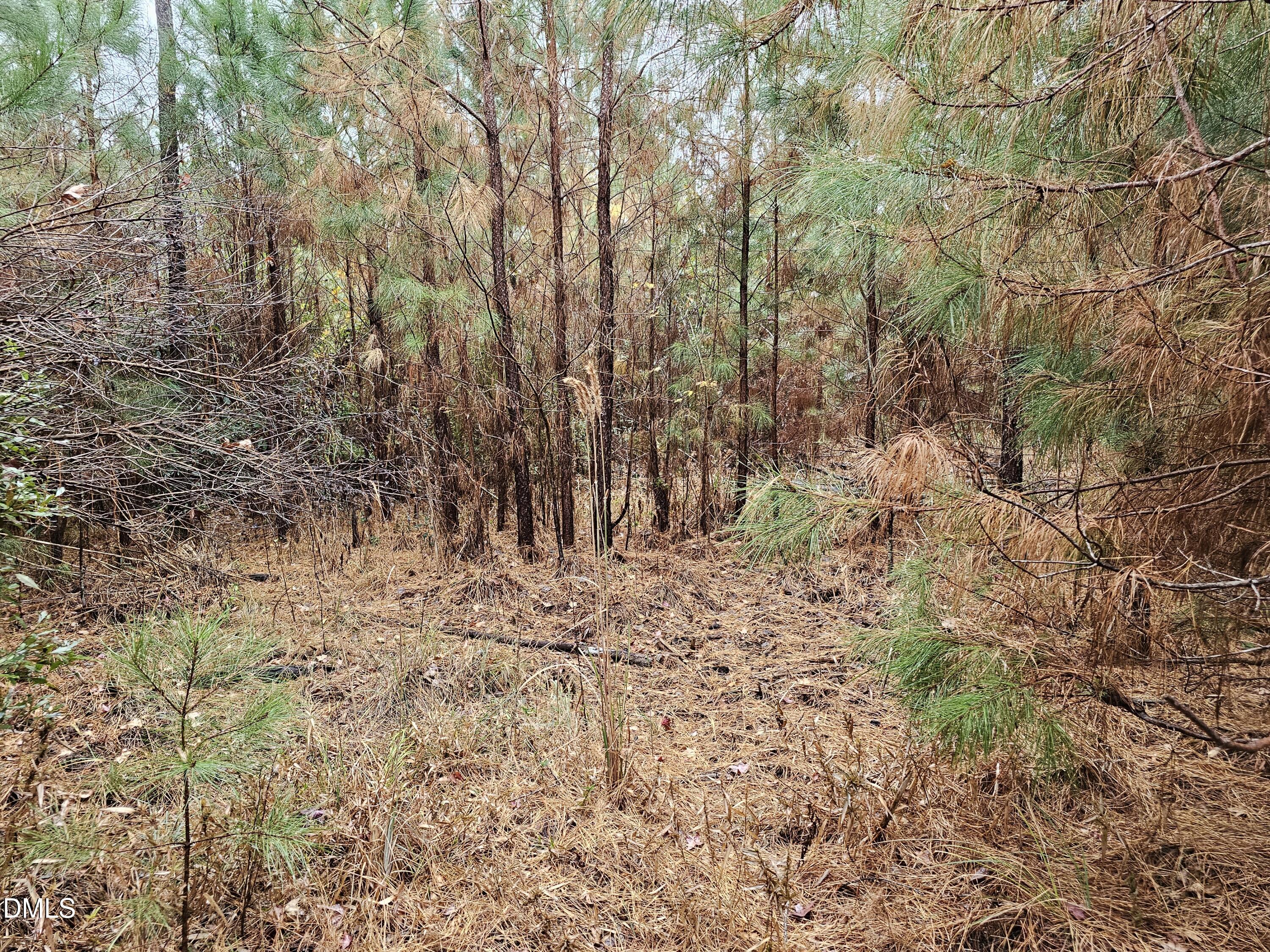 0 North Nc 304 Merritt, NC 28556 - Photo 5 of 20 28 Acre 5