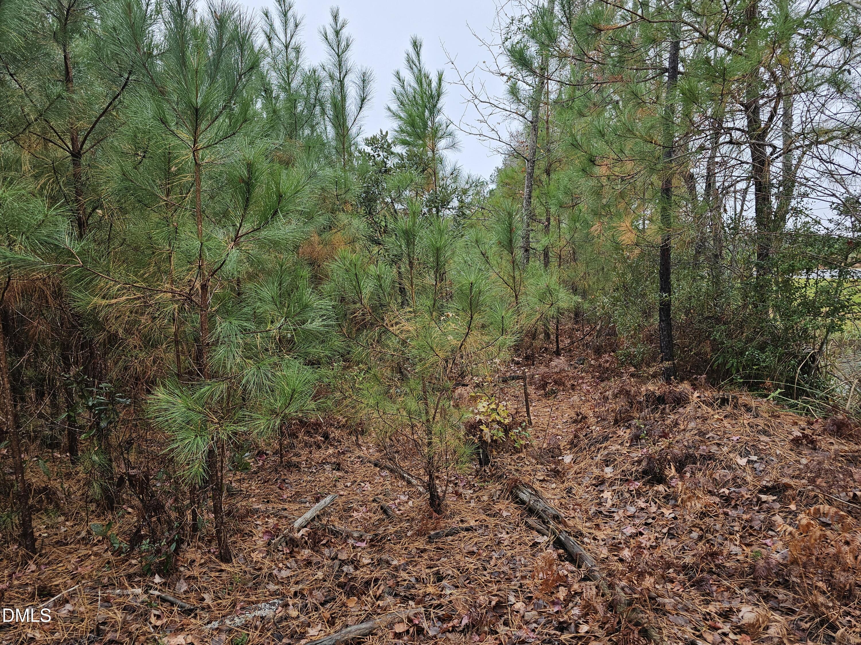 0 North Nc 304 Merritt, NC 28556 - Photo 7 of 20 28 Acre 7