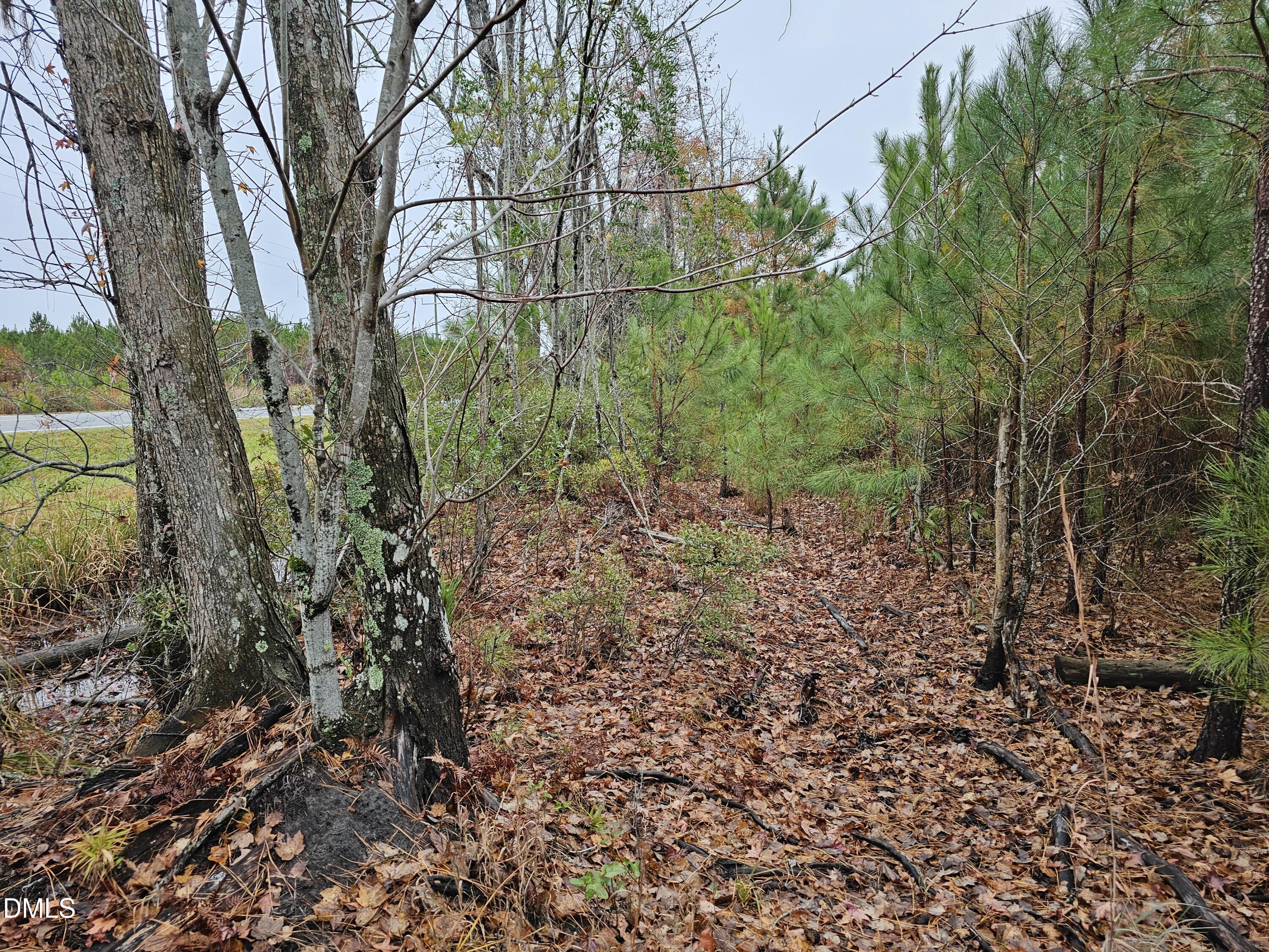 0 North Nc 304 Merritt, NC 28556 - Photo 8 of 20 28 Acre 8