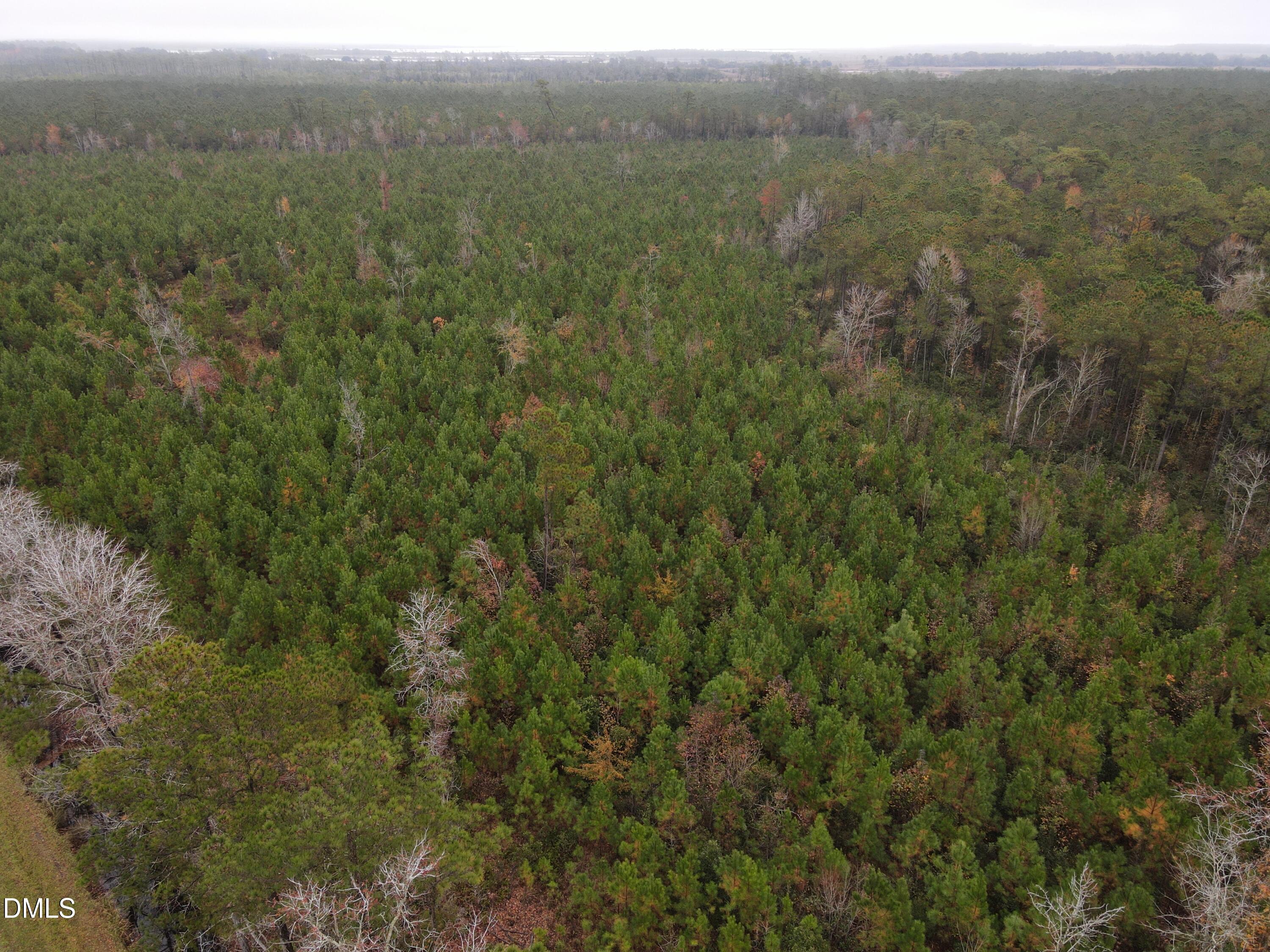 0 North Nc 304 Merritt, NC 28556 - Photo 10 of 20 28 Acre 10