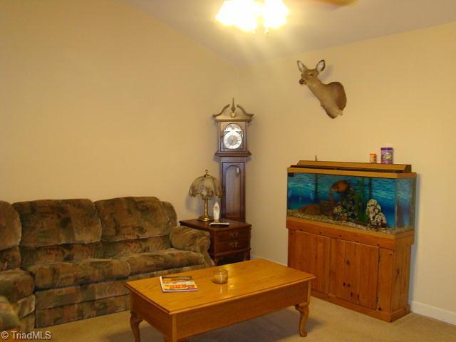 Den/Family/Great Room. Catherdral ceiling & ceiling fan