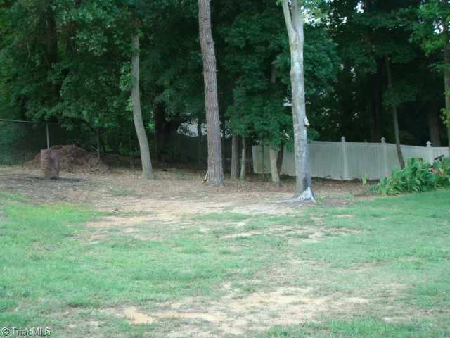 181 Morningside Road Randleman, NC 27317 - Photo 16 of 16 Yard/Garden.