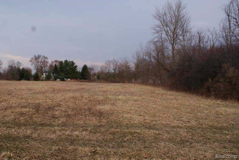 4050 South Hadley Road Metamora, MI 48455 - Photo 7 of 7 DSC09130.JPG