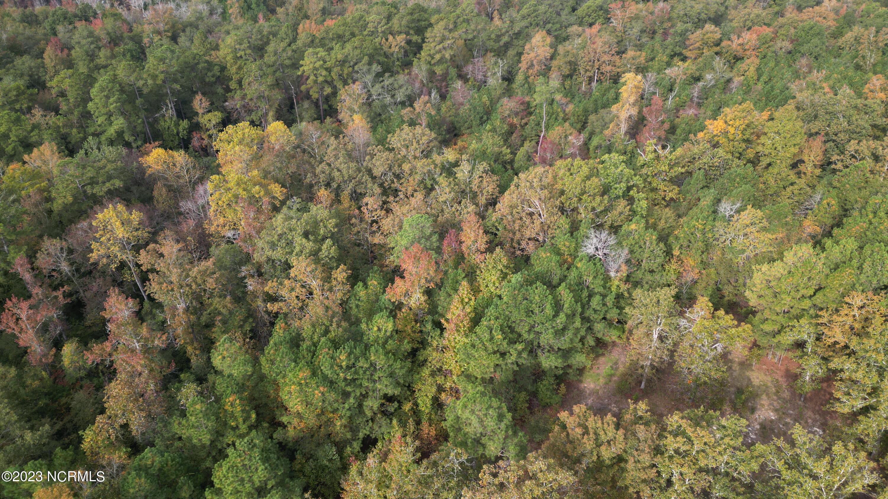 18.33-acre McPherson Road Vass, NC 28394 - Photo 9 of 39 DJI_0077