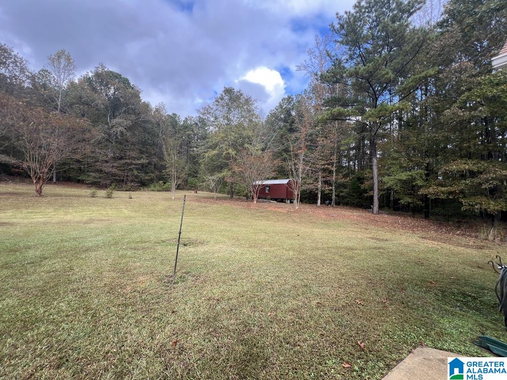 631 Burtram Road Springville, AL 35146 - Photo 37 of 40 Gallery Image 37