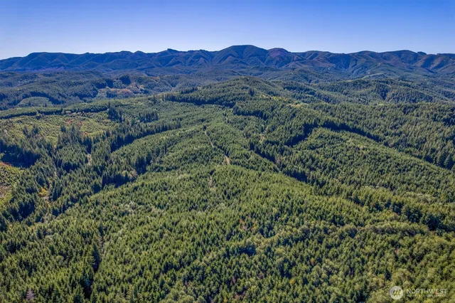 a view of a lush green hillside and a houses