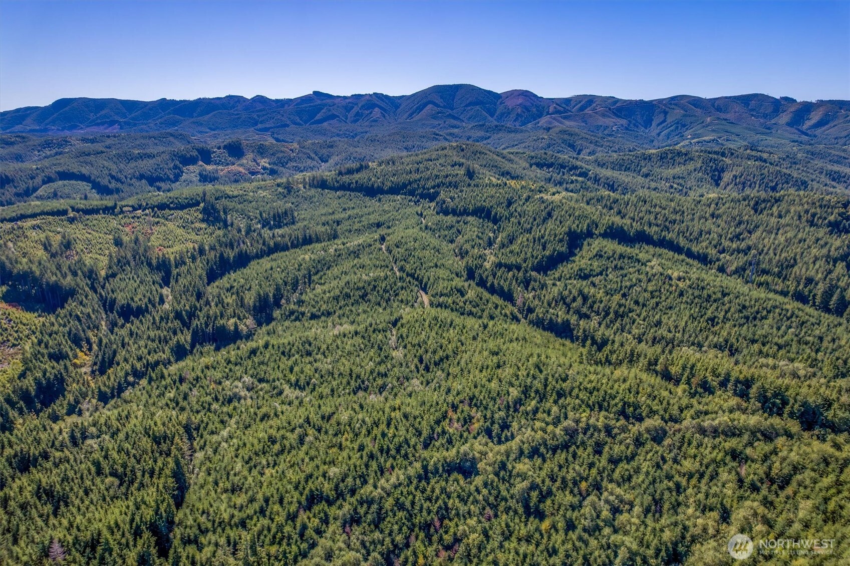 6 Parpala Road, Unit 6 Naselle, WA 98638 - Photo 11 of 16 a view of a lush green hillside and a houses