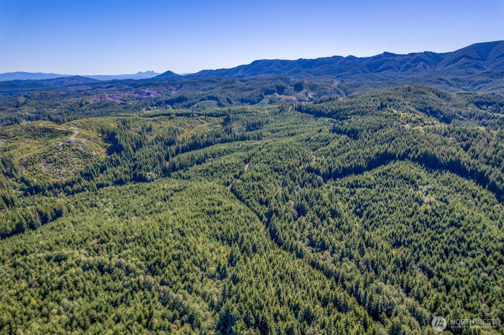 6 Parpala Road, Unit 6 Naselle, WA 98638 - Photo 12 of 16 a view of a lush green hillside and a houses