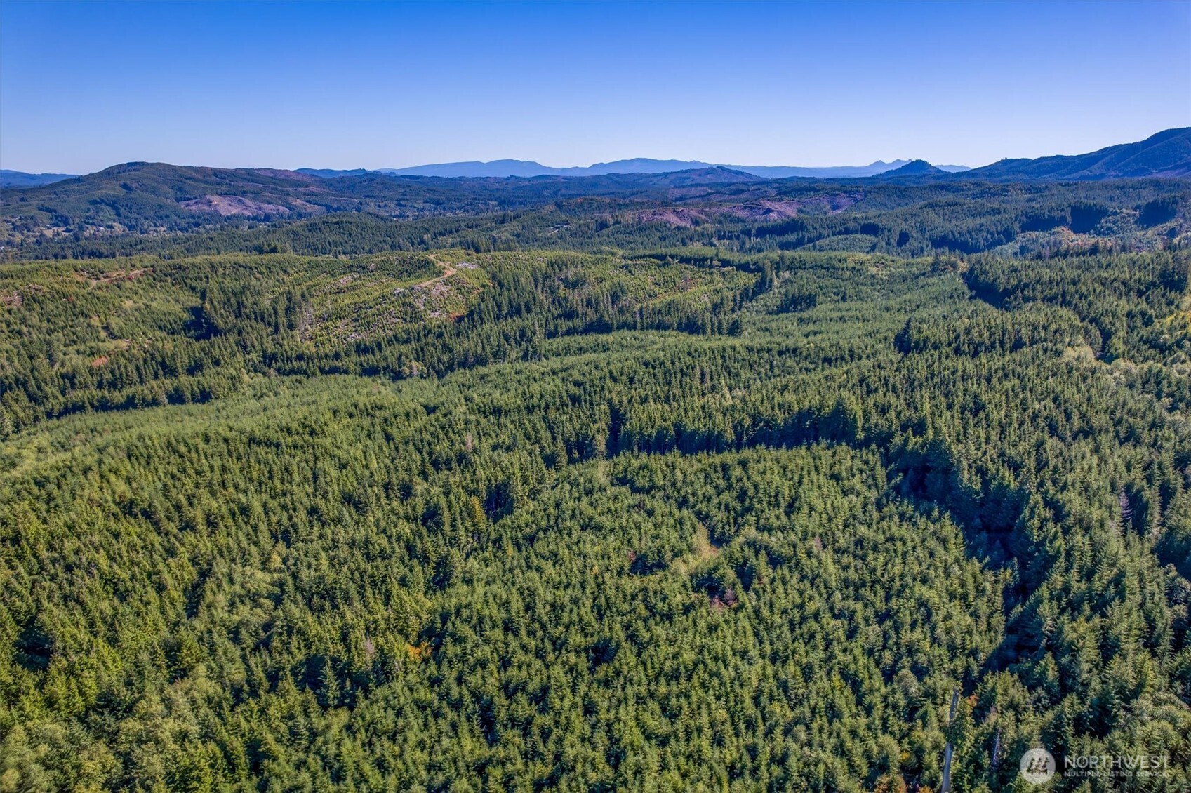 6 Parpala Road, Unit 6 Naselle, WA 98638 - Photo 13 of 16 a view of a lush green hillside and a houses