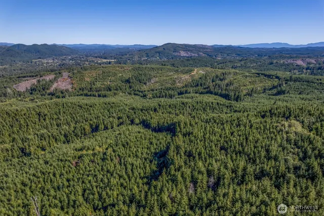 a view of a lush green hillside and a houses