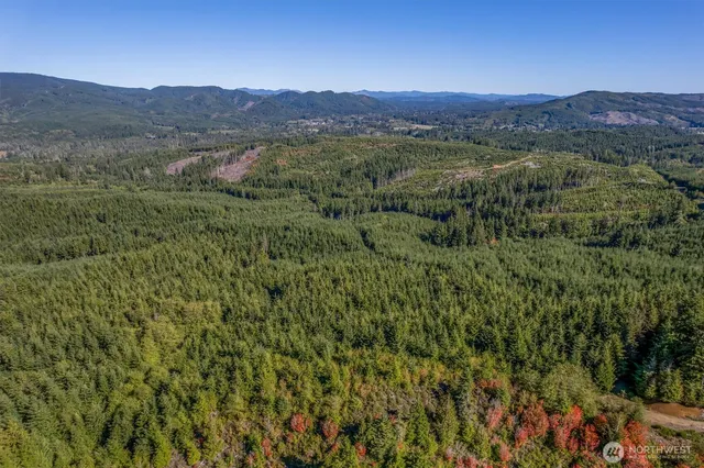 a view of a lush green hillside and a houses