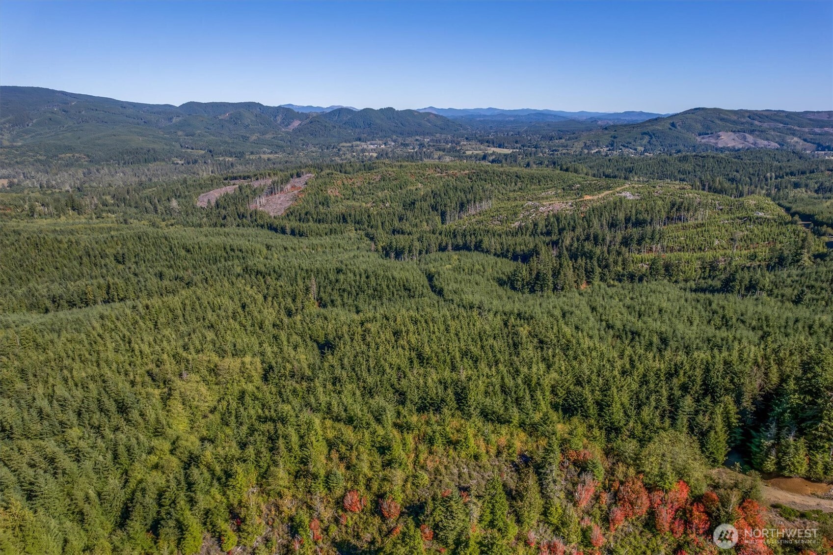 6 Parpala Road, Unit 6 Naselle, WA 98638 - Photo 15 of 16 a view of a lush green hillside and a houses