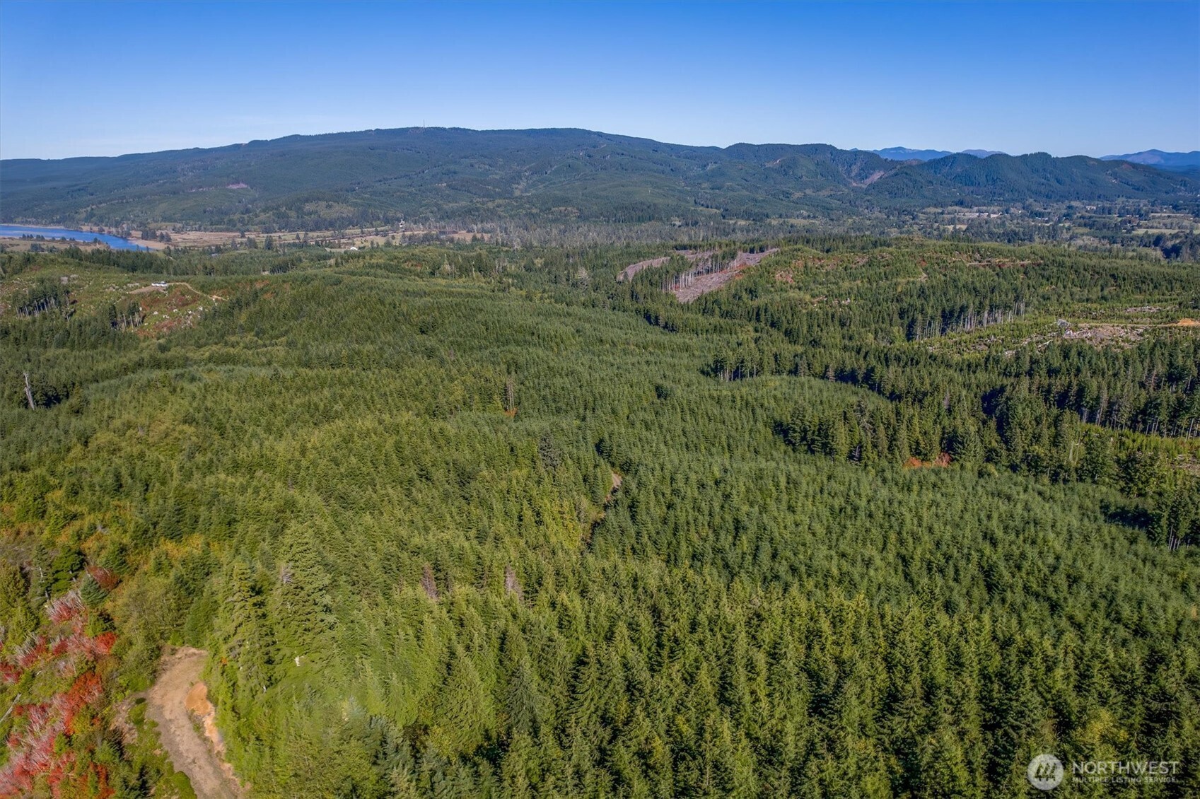 6 Parpala Road, Unit 6 Naselle, WA 98638 - Photo 16 of 16 a view of a lush green hillside and houses