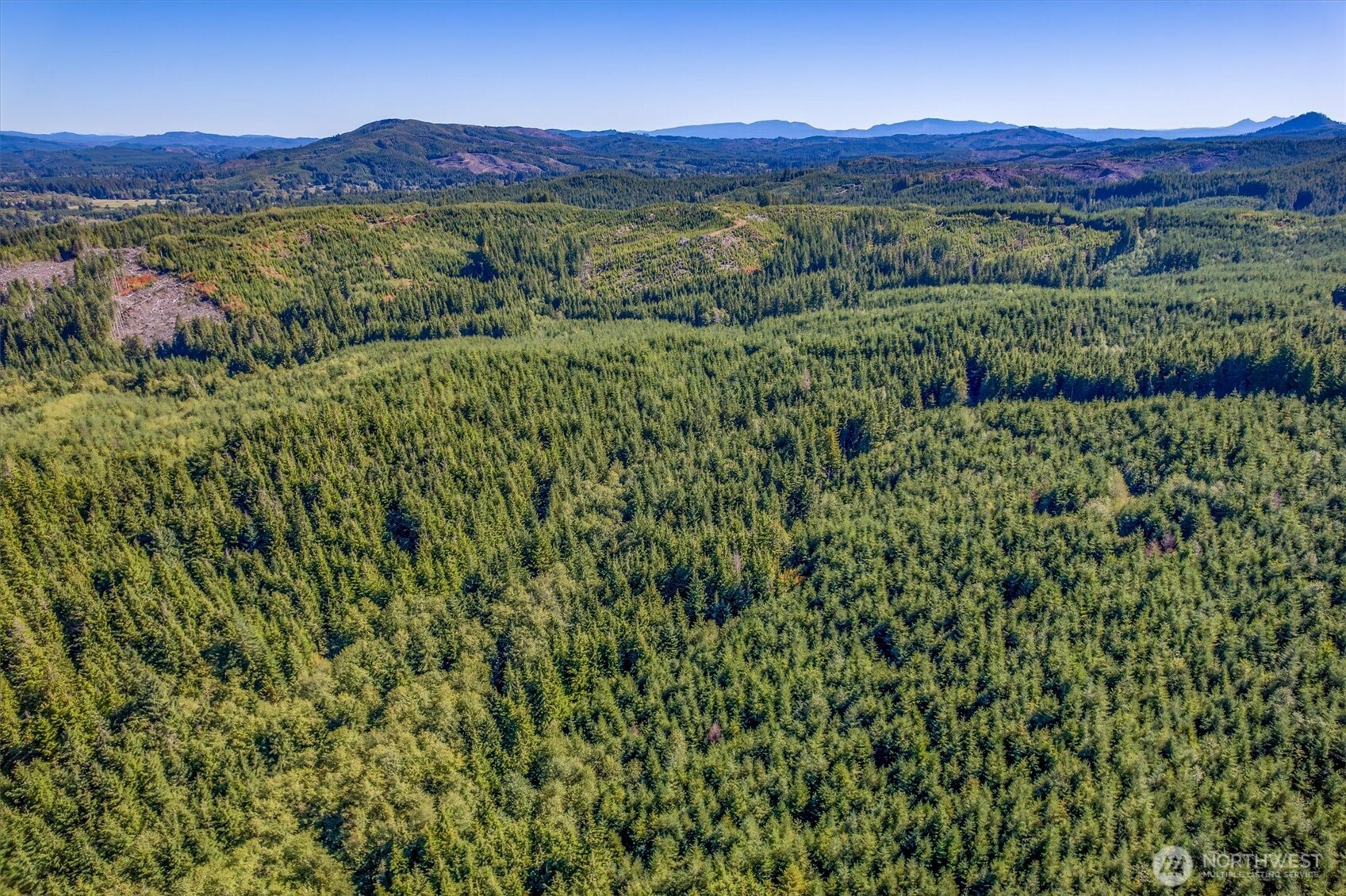 6 Parpala Road, Unit 6 Naselle, WA 98638 - Photo 3 of 16 a view of a lush green hillside and a houses