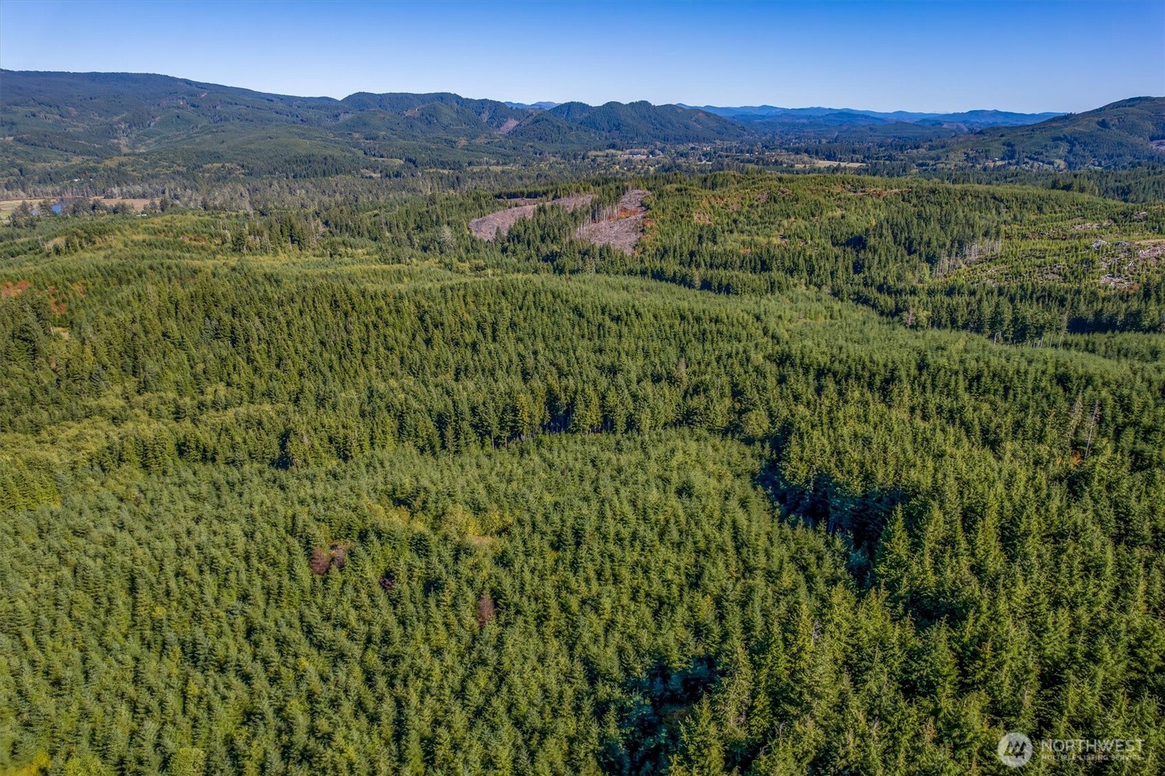 6 Parpala Road, Unit 6 Naselle, WA 98638 - Photo 4 of 16 a view of mountain view with mountains in the background