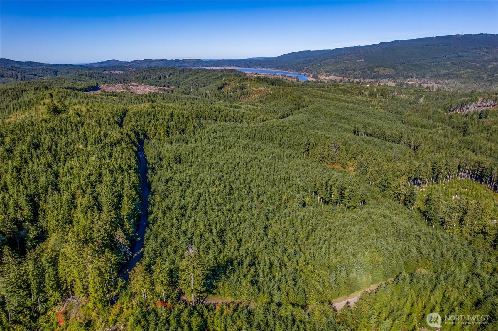 6 Parpala Road, Unit 6 Naselle, WA 98638 - Photo 6 of 16 a view of a lush green hillside and a mountain