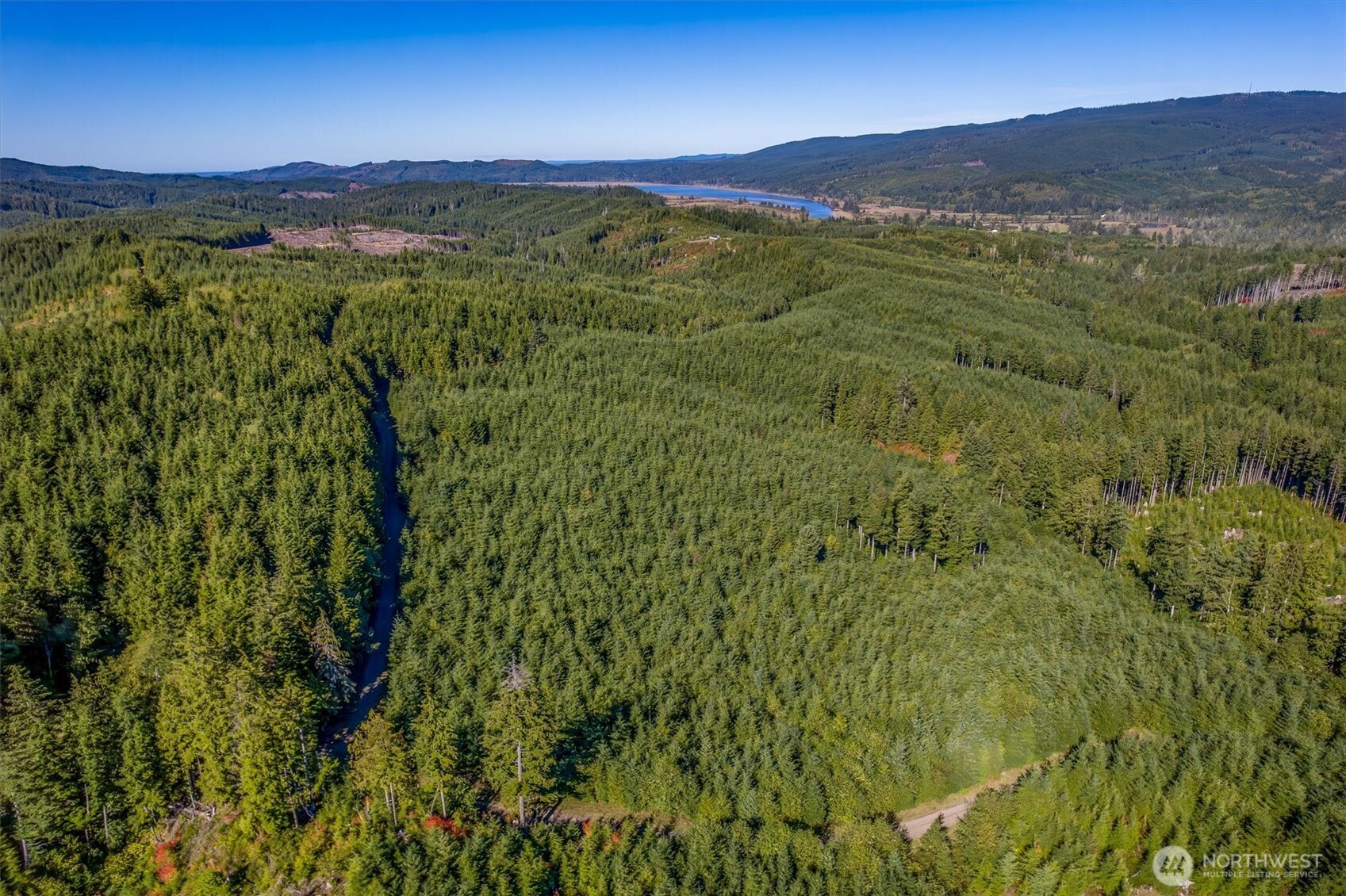6 Parpala Road, Unit 6 Naselle, WA 98638 - Photo 7 of 16 a view of a lush green hillside and a mountain
