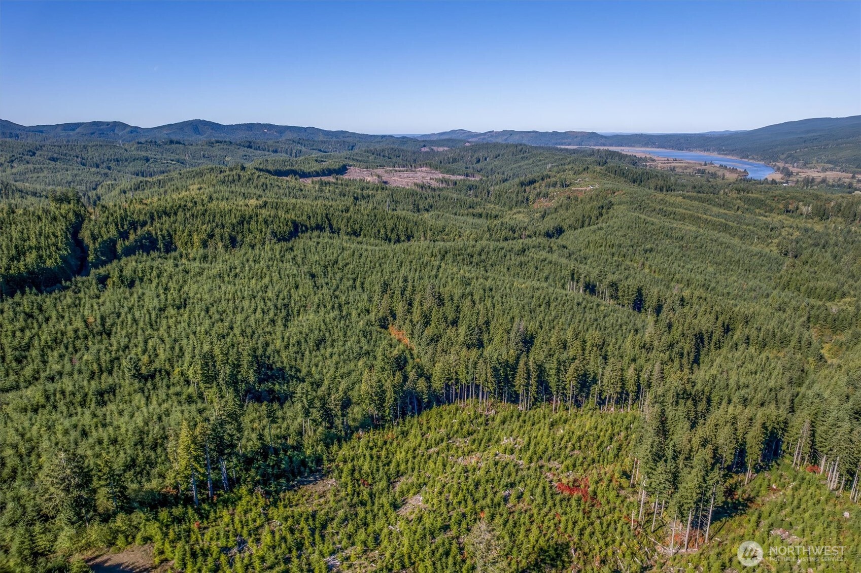 6 Parpala Road, Unit 6 Naselle, WA 98638 - Photo 8 of 16 a view of a lush green hillside and a mountain view