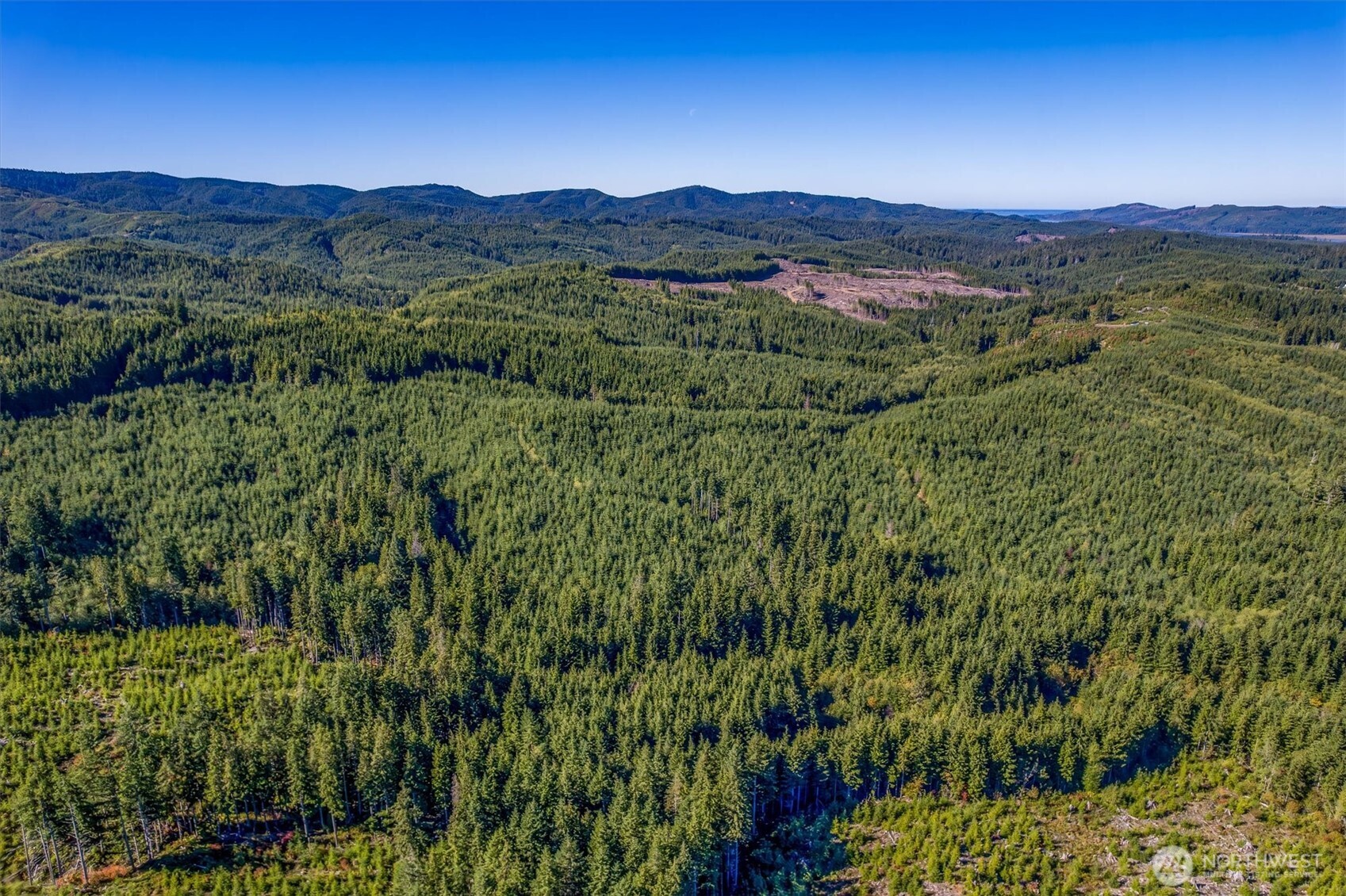 6 Parpala Road, Unit 6 Naselle, WA 98638 - Photo 9 of 16 a view of a lush green hillside and a mountain view