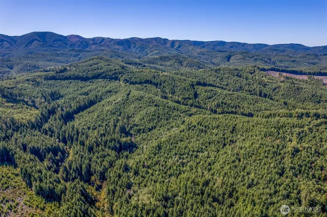 a view of a lush green hillside and houses