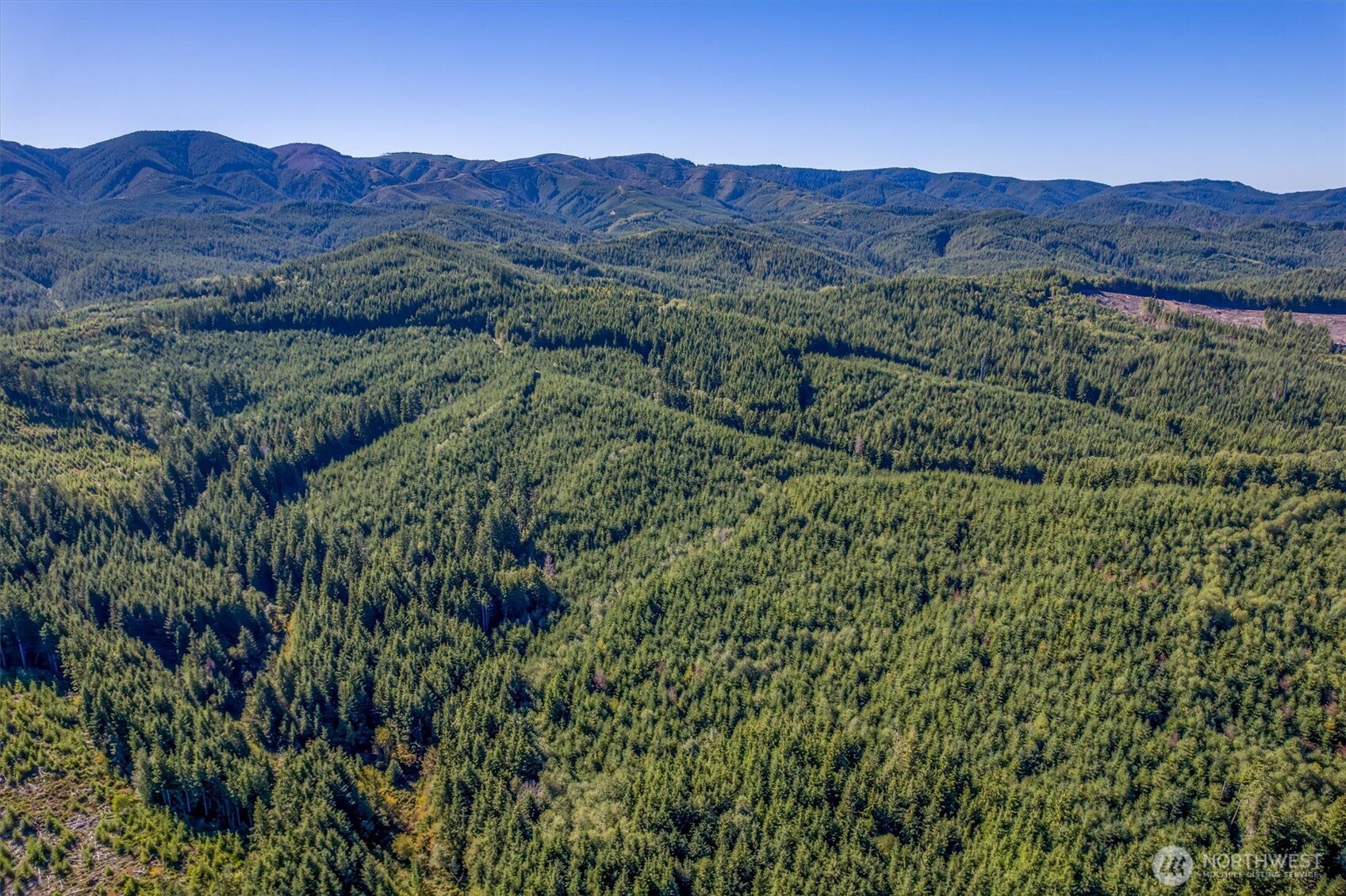 6 Parpala Road, Unit 6 Naselle, WA 98638 - Photo 10 of 16 a view of a lush green hillside and houses