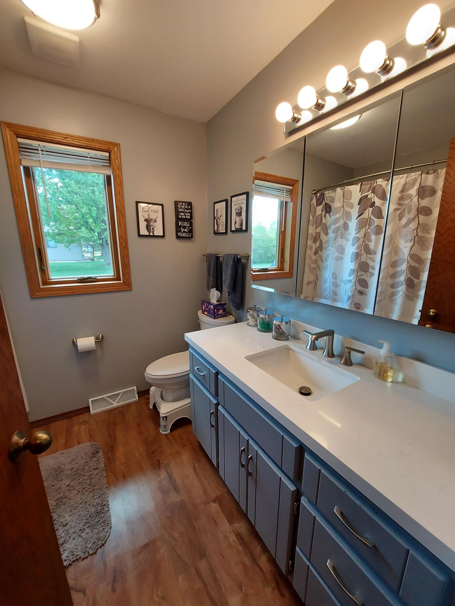 409 Sundown Drive Avon, MN 56310 - Photo 11 of 17