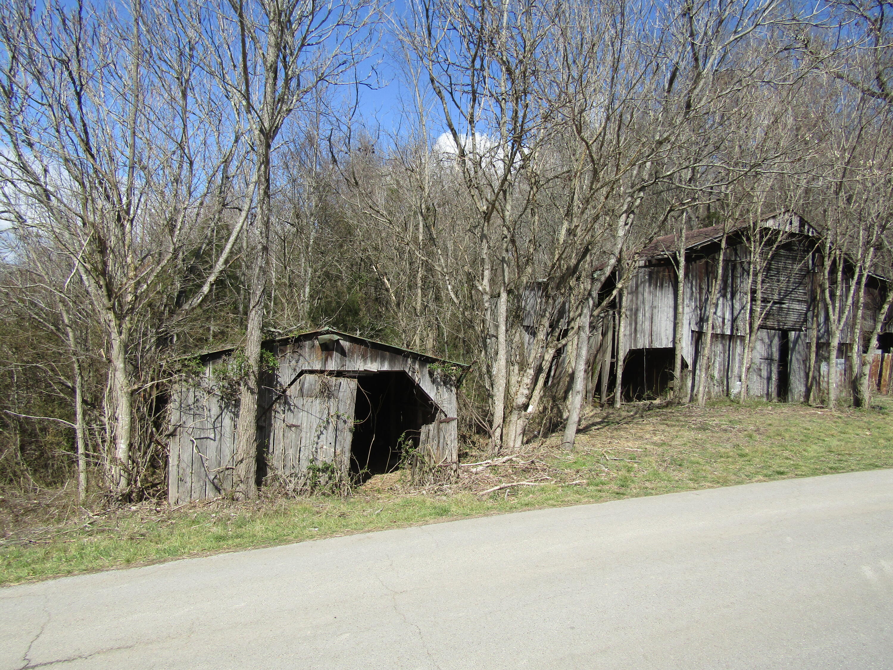 Lot 2 Davis Valley Road, Unit 2 Afton, TN 37616 - Photo 4 of 5 davis valley lot 2 and 3