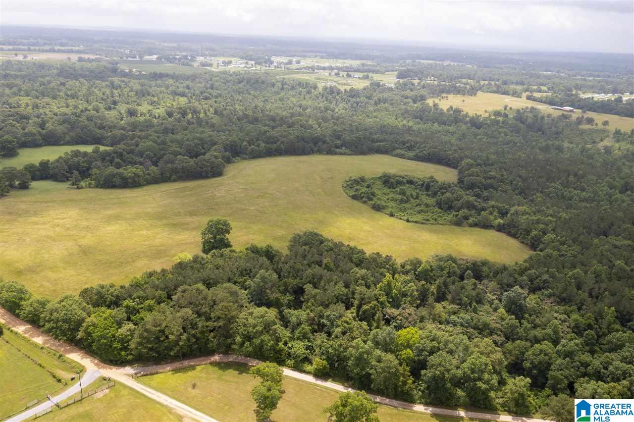0 County Road 368 Verbena, AL 36091 - Photo 4 of 13