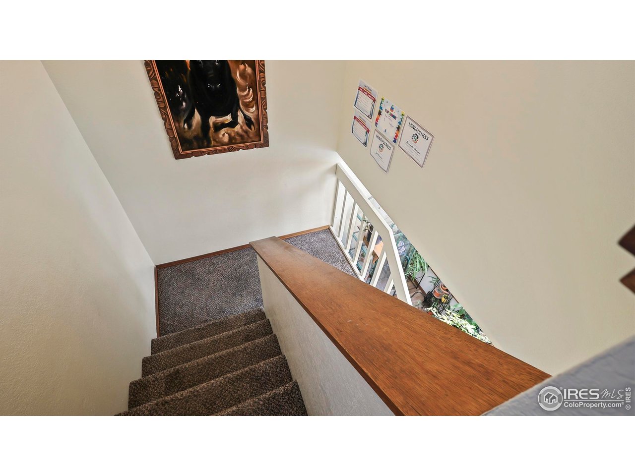 5809 West 18th Street Greeley, CO 80634 - Photo 21 of 24