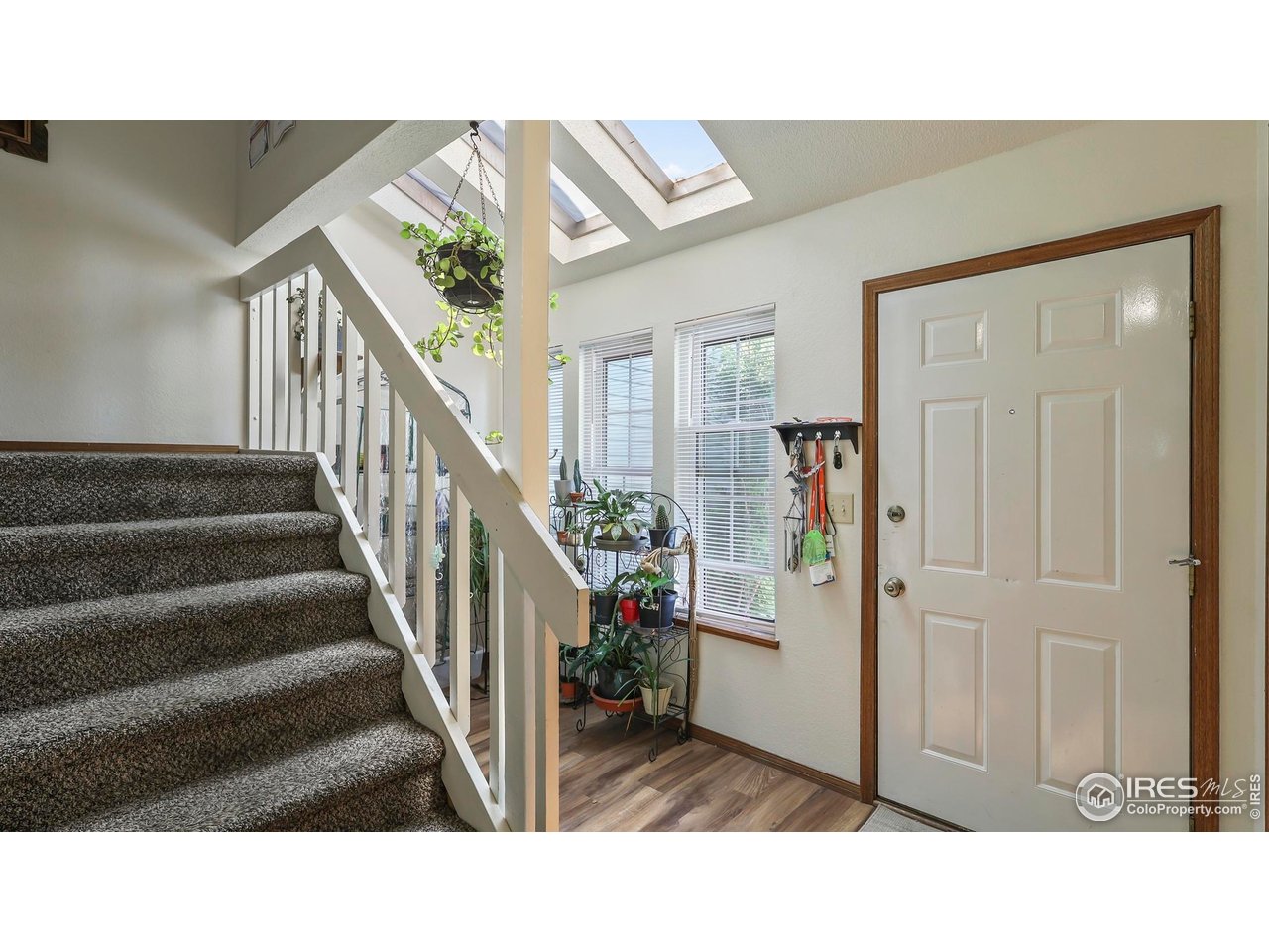 5809 West 18th Street Greeley, CO 80634 - Photo 9 of 24