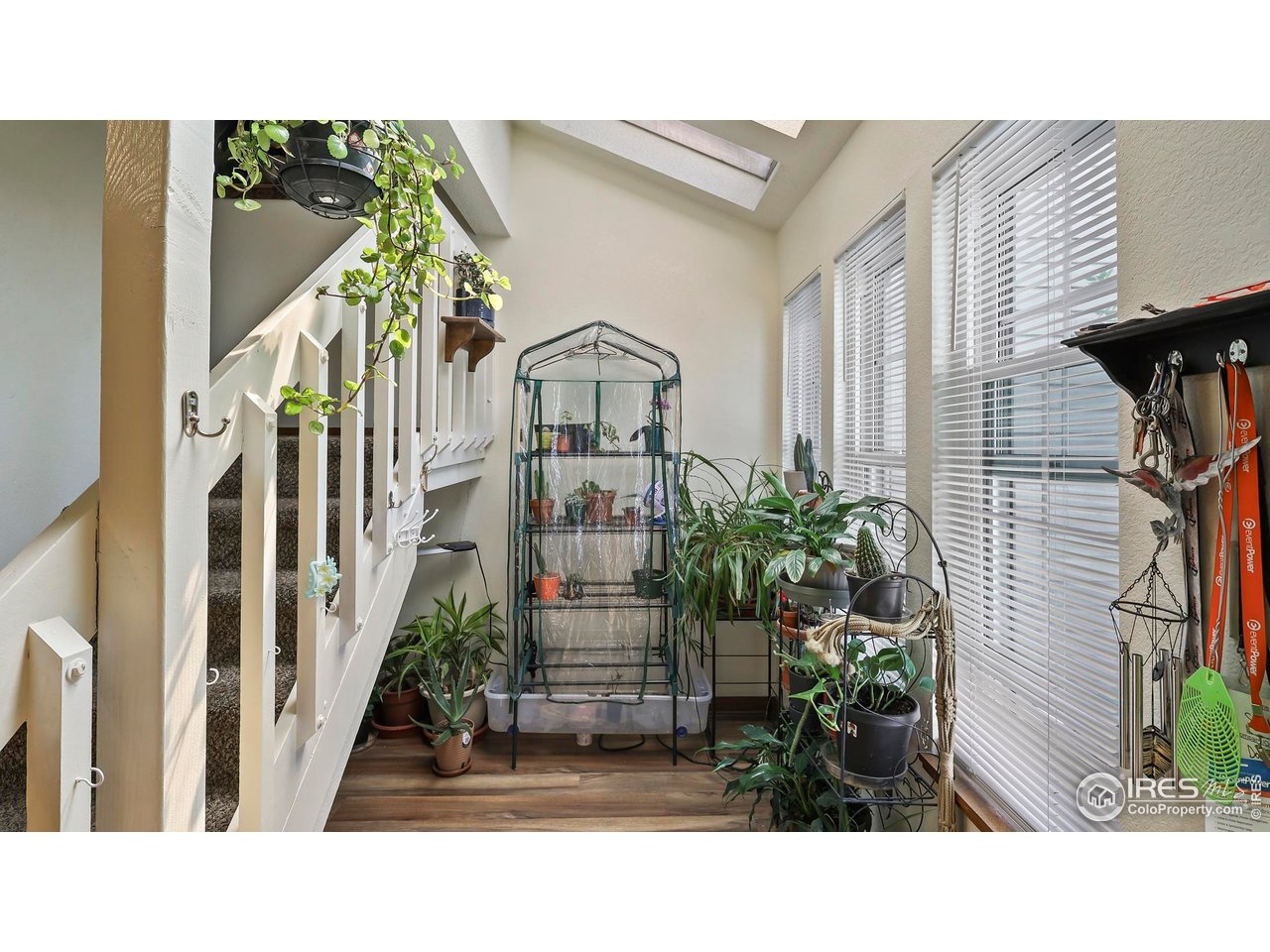 5809 West 18th Street Greeley, CO 80634 - Photo 10 of 24