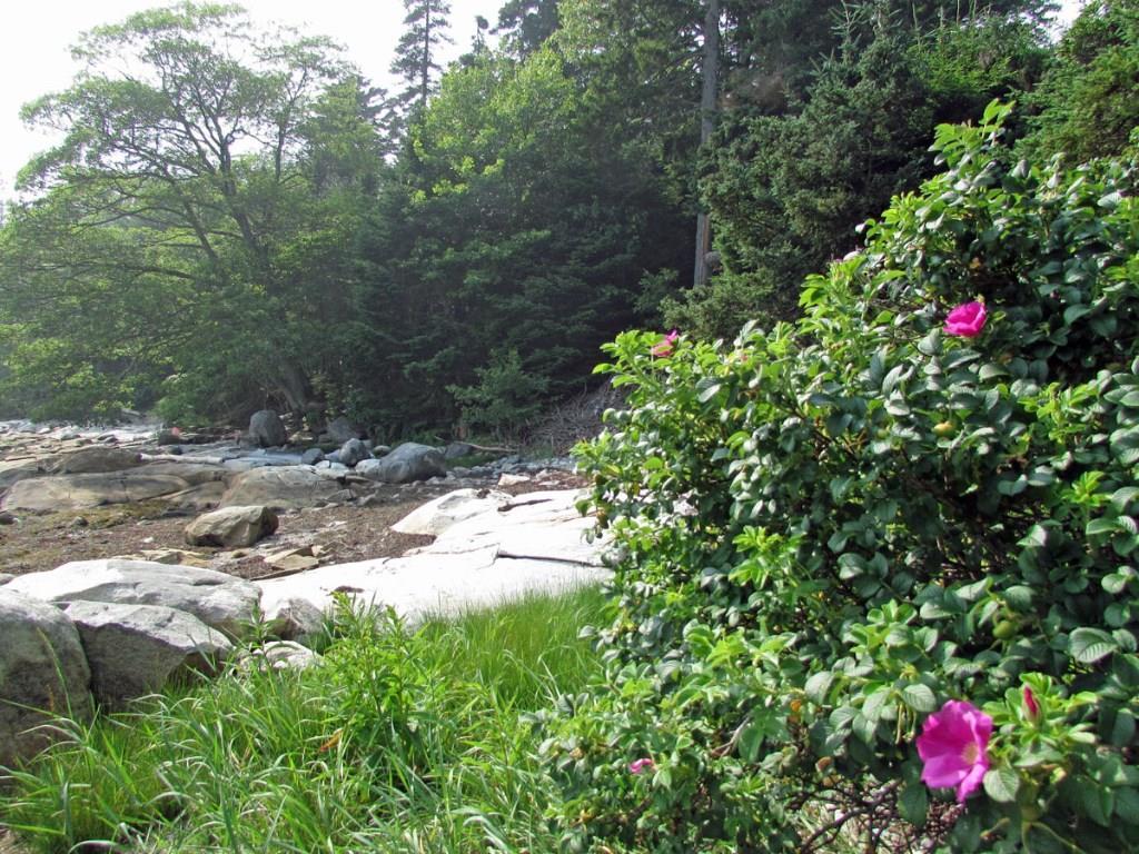 196 States Point Road Tenants Harbor, ME 04860 - Photo 3 of 5 Photo