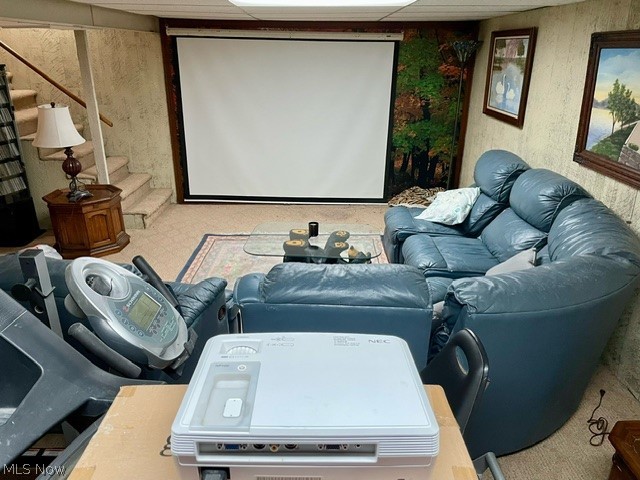 9692 Hess Mill Road Northeast Bolivar, OH 44612 - Photo 18 of 33 Home theater room featuring carpet floors
