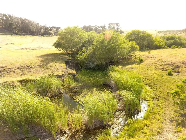 a view of an ocean beach