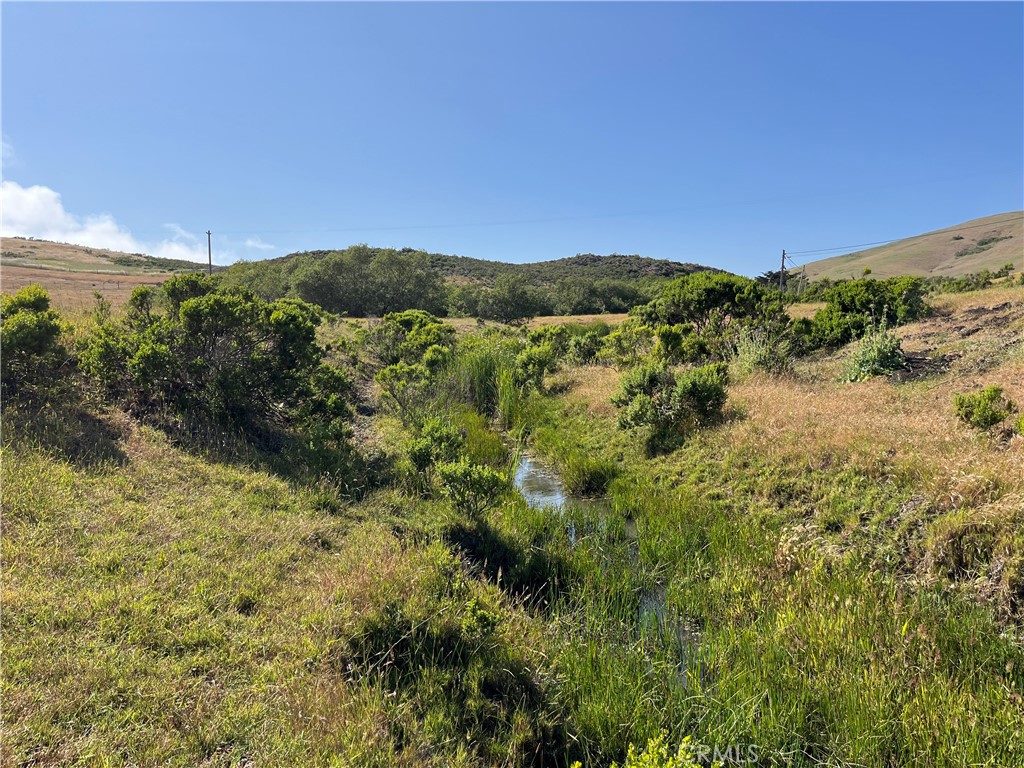 0 Ca-1 Harmony, CA 93435 - Photo 43 of 63 a view of a forest with a houses