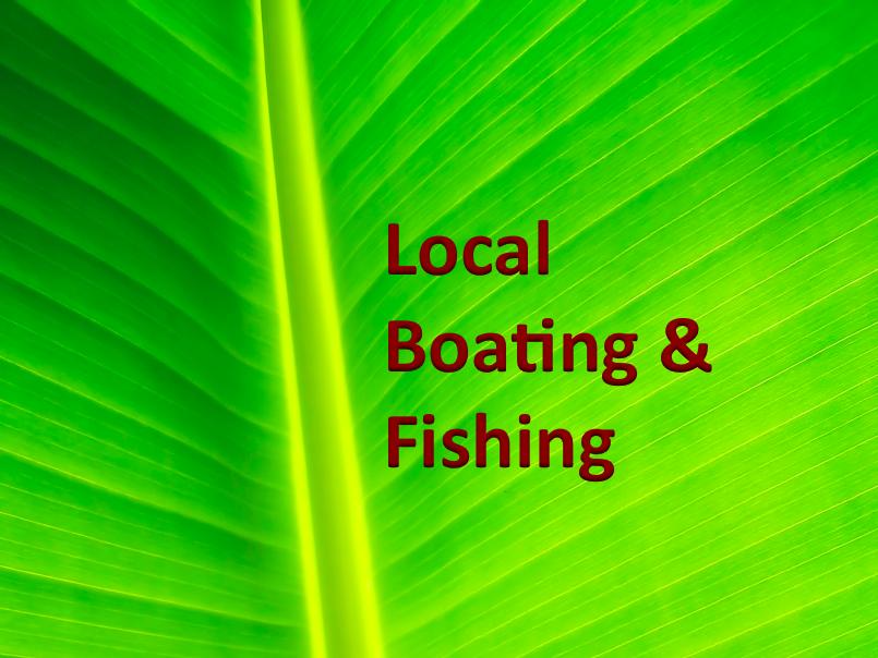 8841 First Tee Road Port St. Lucie, FL 34986 - Photo 55 of 228 700 Local Boating & Fishing