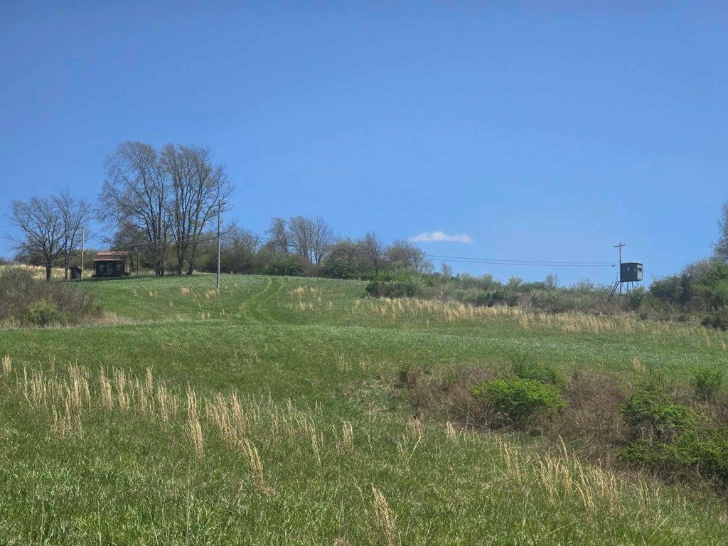 Tbd Crab Orchard Road Tazewell, VA 24651 - Photo 16 of 21 Gallery Image 16