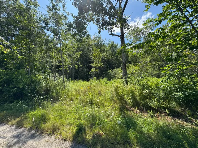 $195,000 | Lot 3 Congress Street, Belfast, ME 04915