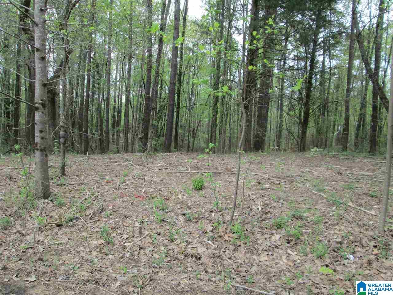 2460 Corner Road Warrior, AL 35180 - Photo 5 of 13
