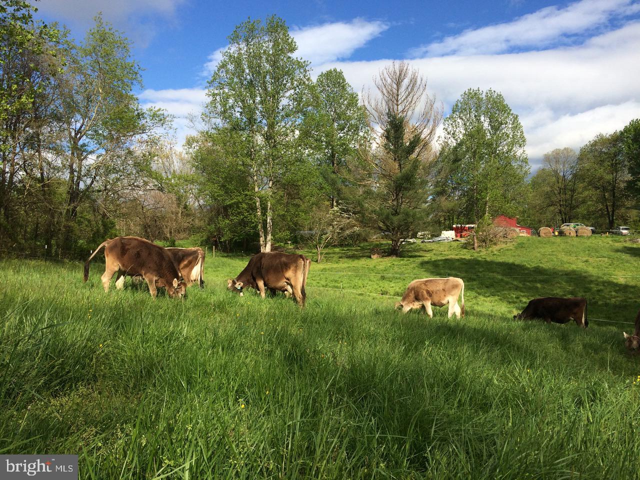 3085 Indian Run Road Amissville, VA 20106 - Photo 26 of 32