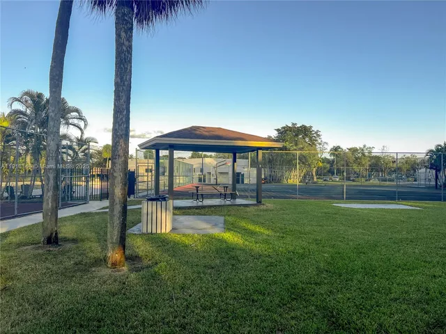 a view of a dry yard