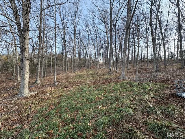 $265,000 | 5111 Highway Z Houston Mo 65483, Houston, MO 65483