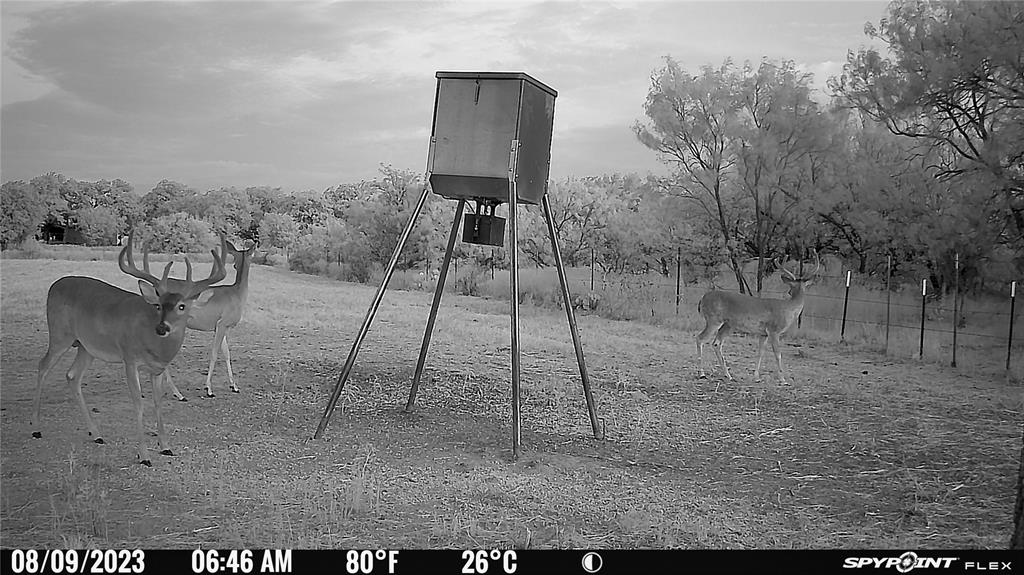 2417 Highway 569 Cisco Tx 76437 Cisco, TX 76437 - Photo 6 of 40