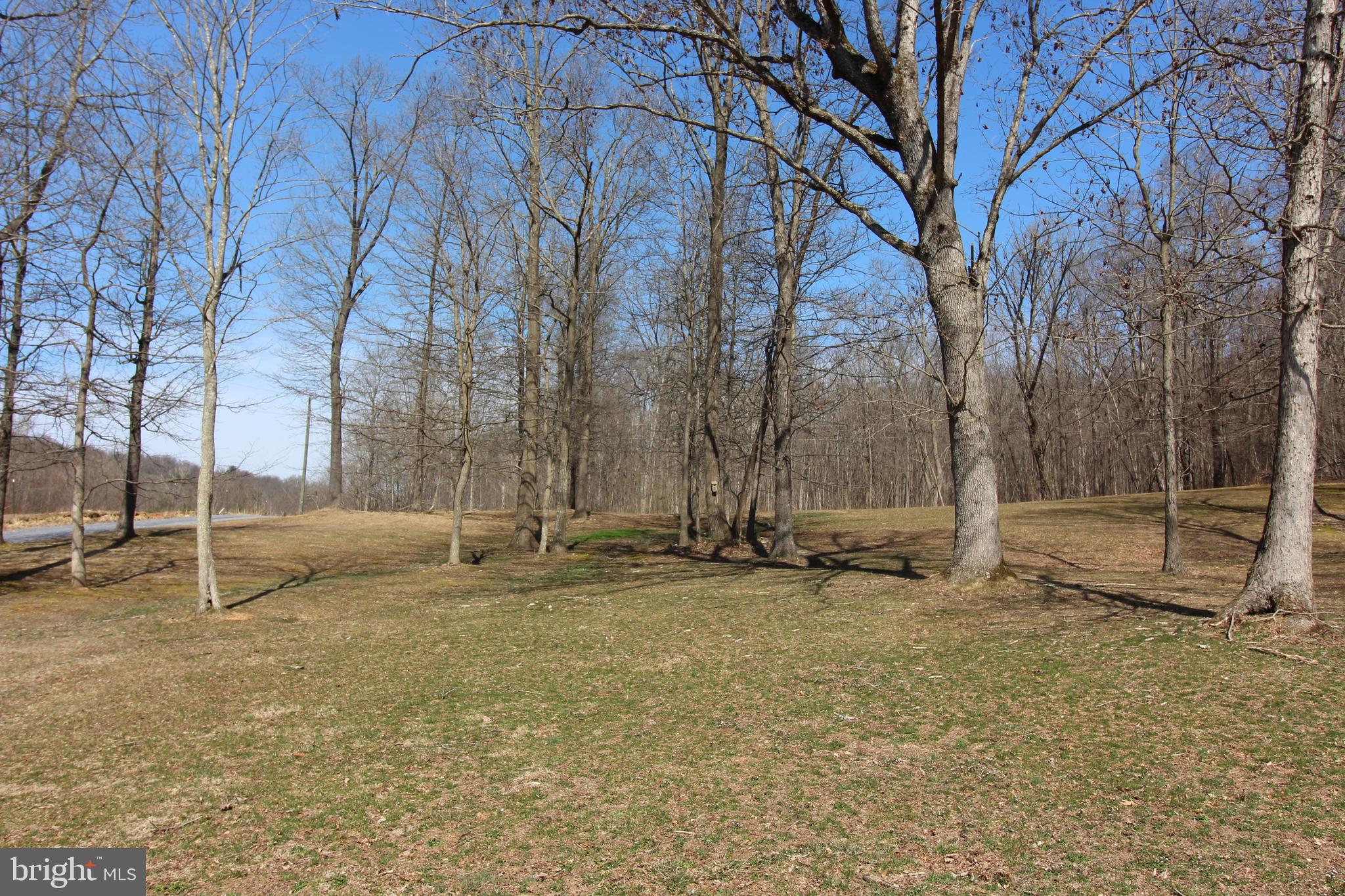 2716 Cave Ridge Road Mount Jackson, VA 22842 - Photo 33 of 35 Gallery Image 33