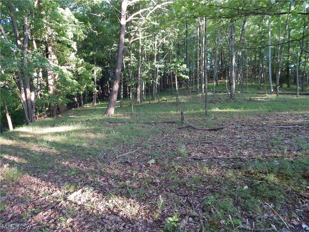 0 Moyers Run Road Harrisville, WV 26362 - Photo 16 of 22 Gallery Image 16
