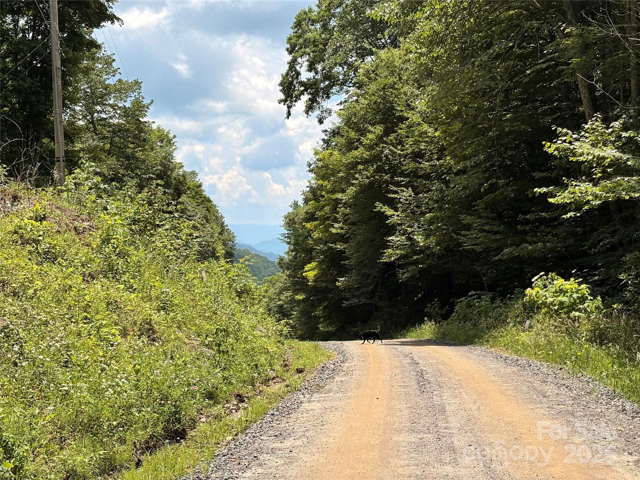 1201 Simms Fork Road Burnsville, NC 28714 - Photo 13 of 29