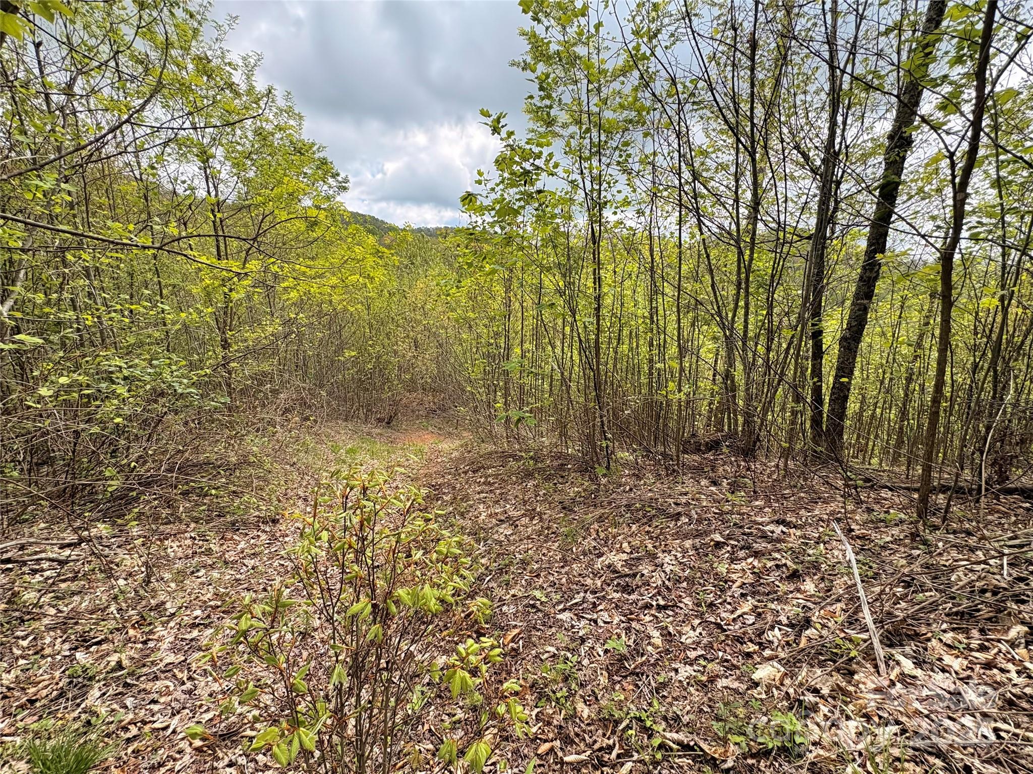 1201 Simms Fork Road Burnsville, NC 28714 - Photo 14 of 29