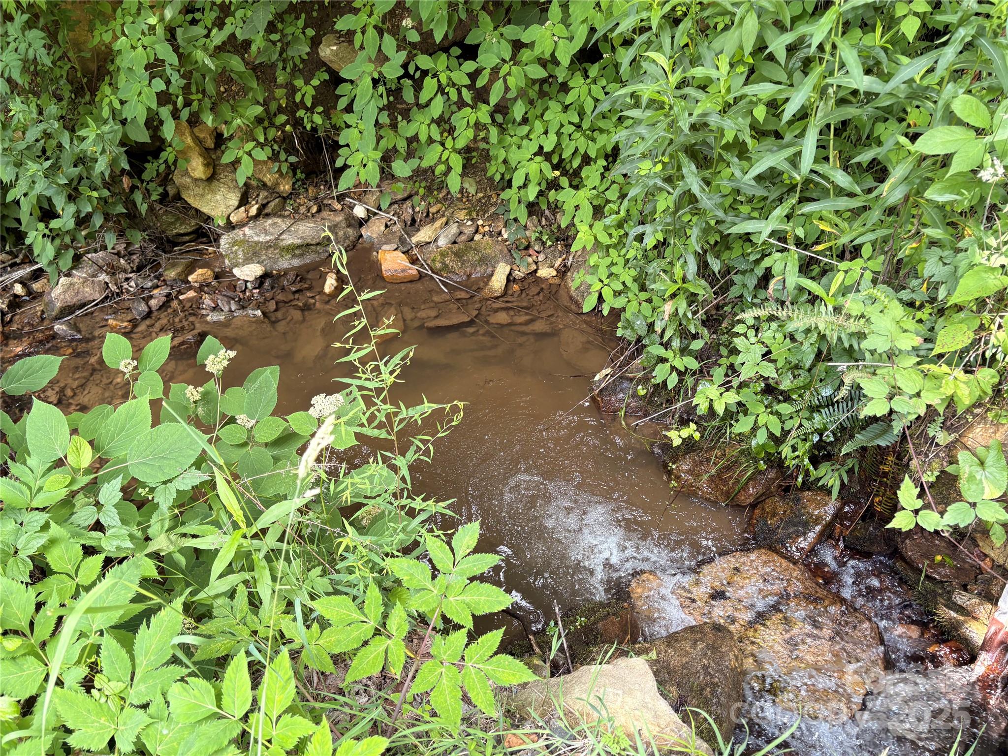 1201 Simms Fork Road Burnsville, NC 28714 - Photo 15 of 29