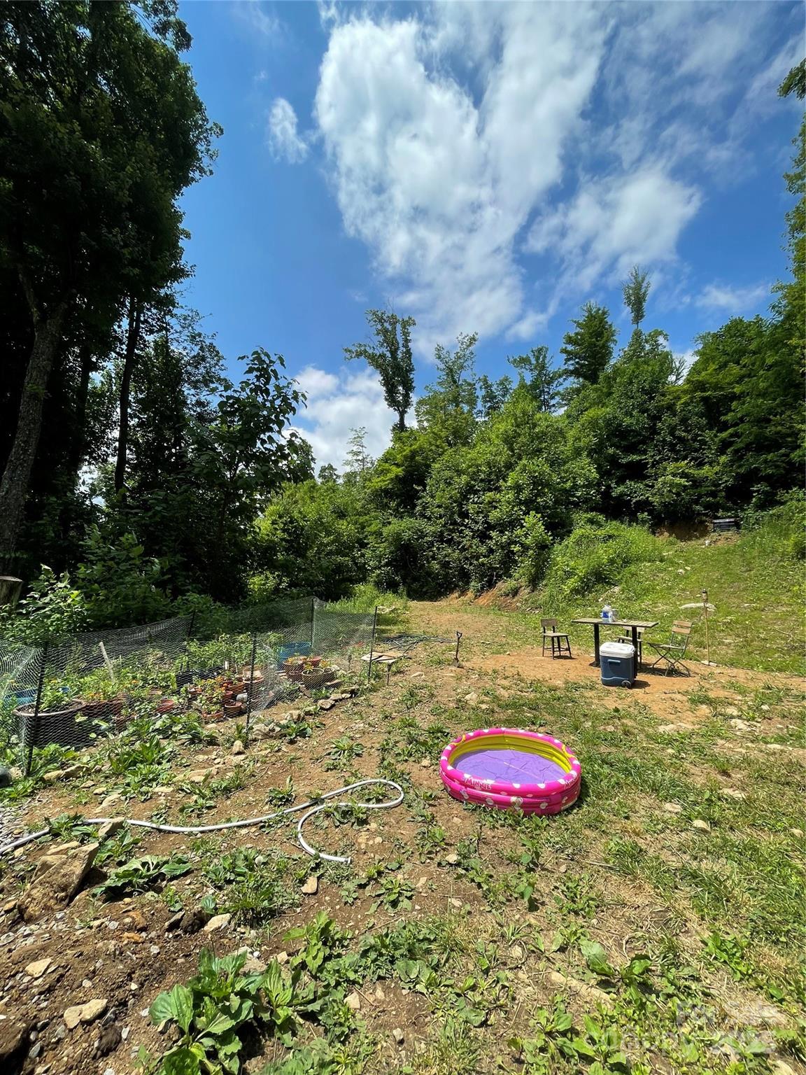 1201 Simms Fork Road Burnsville, NC 28714 - Photo 16 of 29